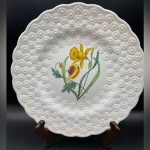 Copeland Spode Fernleigh Daffodil #12 Luncheon Plate w Embossed Edge